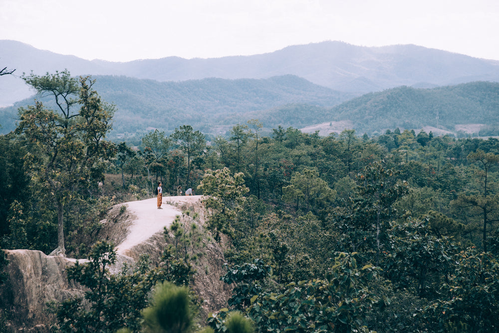 woman admires valley view