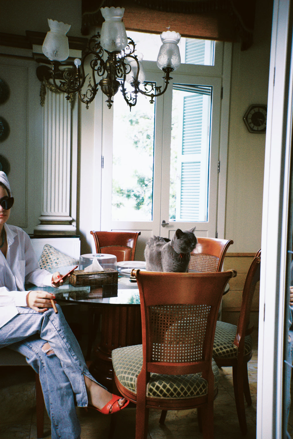 woman and cat spend some time together