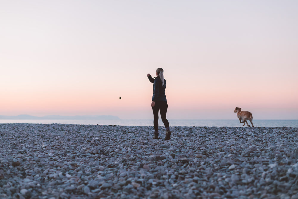 woman and dog play on the beach