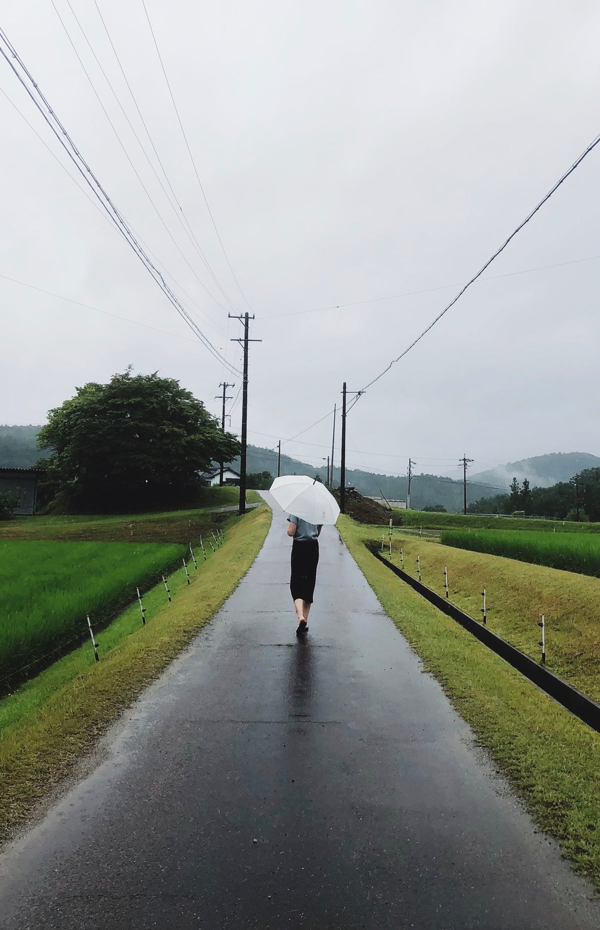 woman carries umbrella along a lonely road