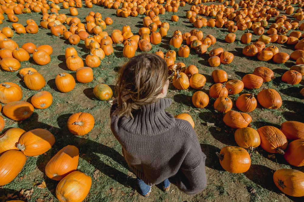 woman chosing pumpkin