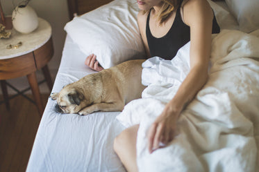 woman & dog in the morning