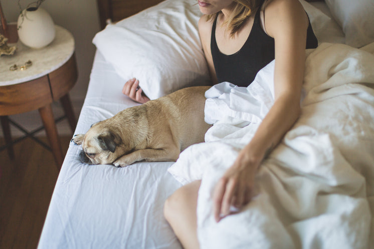 Woman & Dog In The Morning