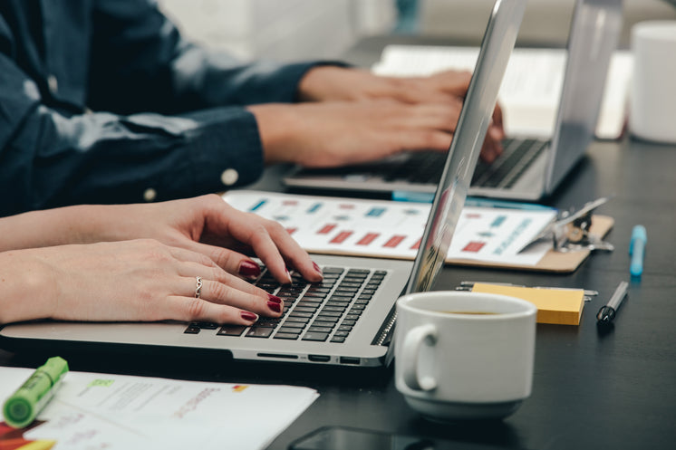 Woman Hands Tech Developer Laptop