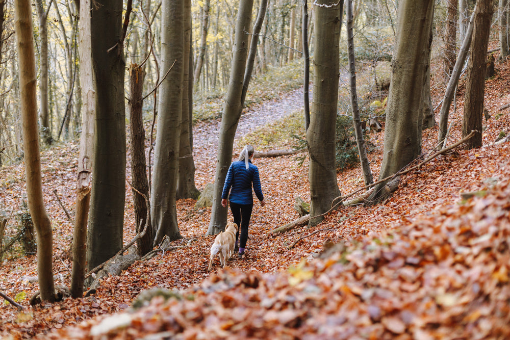 woman hiking with dog in fall leaves
