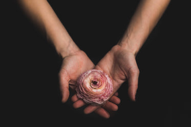 woman holding flower