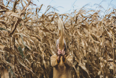 woman holding harvest plant