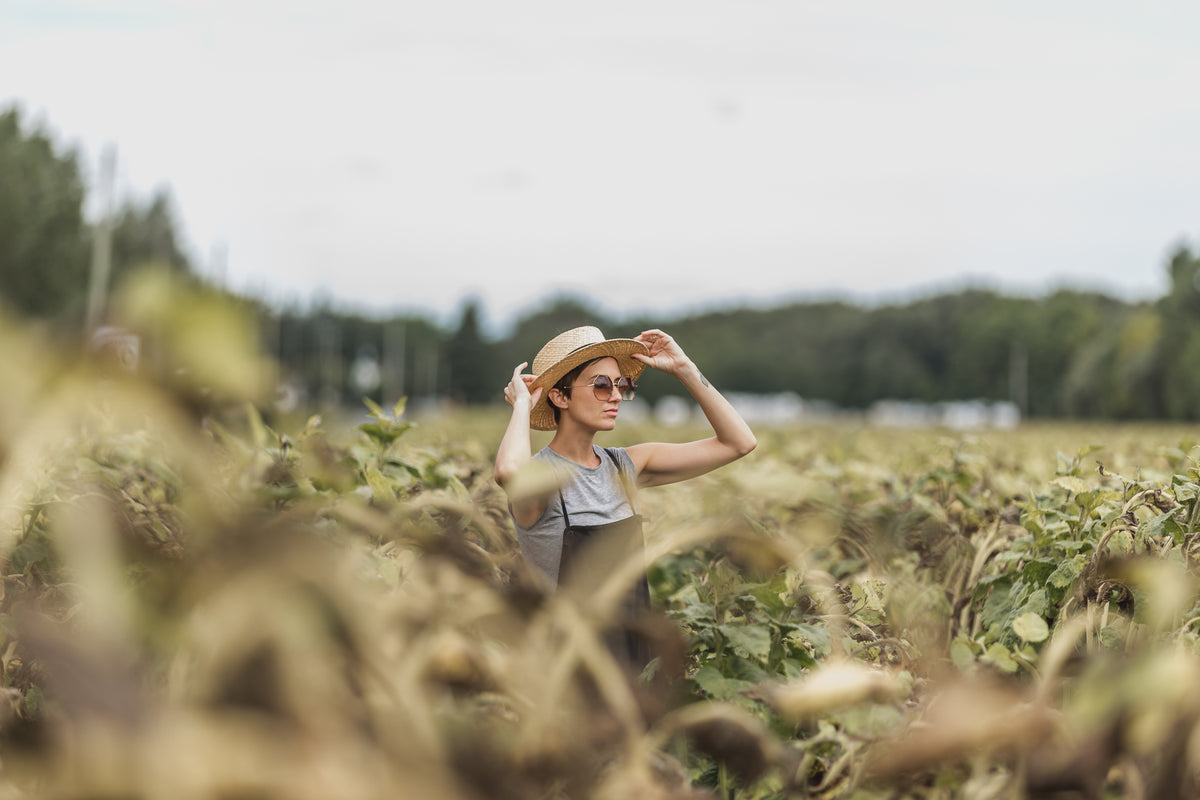 woman holding hat while standing in dried sunflower field