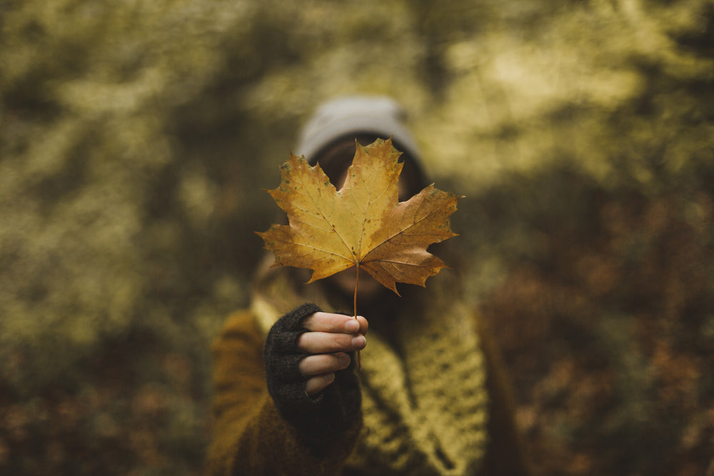 woman holding maple leaf in fall
