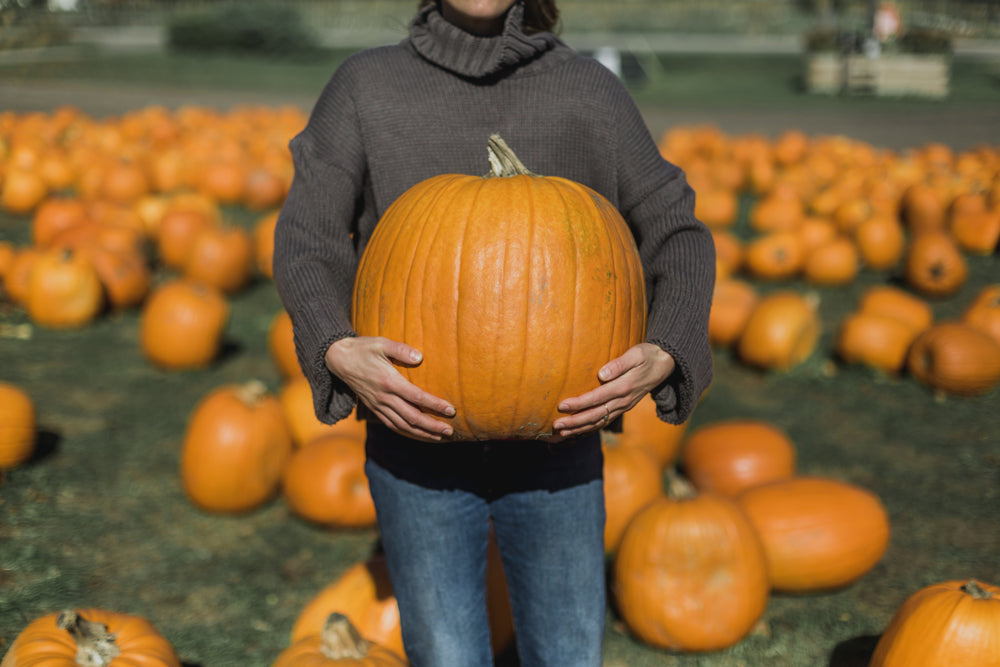 woman holding perfect pumpkin