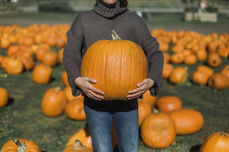 Woman Holding Perfect Pumpkin