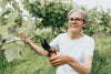 woman holding pruning shears to a vine