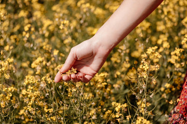 woman holds yellow flower