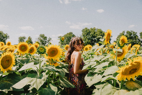Woman In A Floral Dress Standing In Amongst Sunflowers