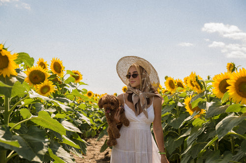 woman in a white dress holds a puppy in sunflower field