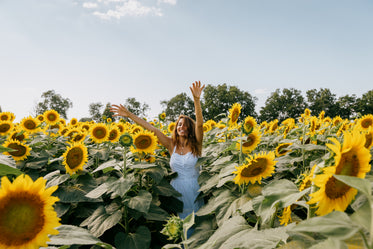 woman in a white sundress stands among sunflowers