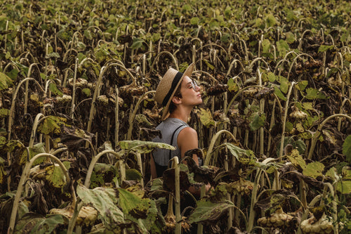 woman in hat and sunglasses standing in sunflower dried field