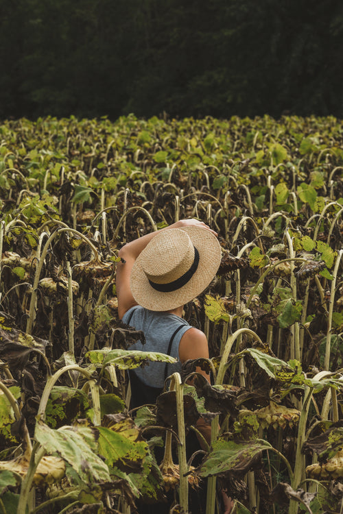 woman in hat standing in sunflower field