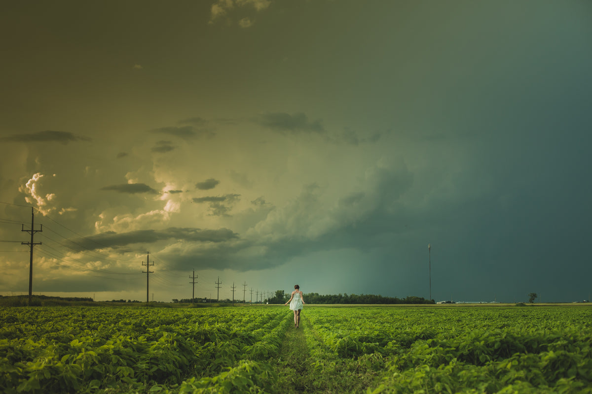 woman in prairie fields