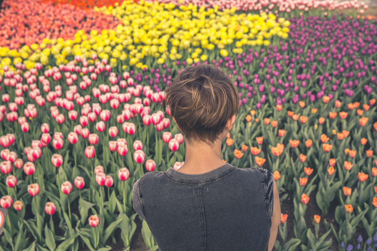 woman in the tulips