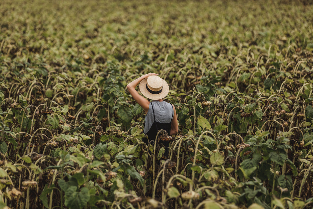 woman lost in a sunflower field