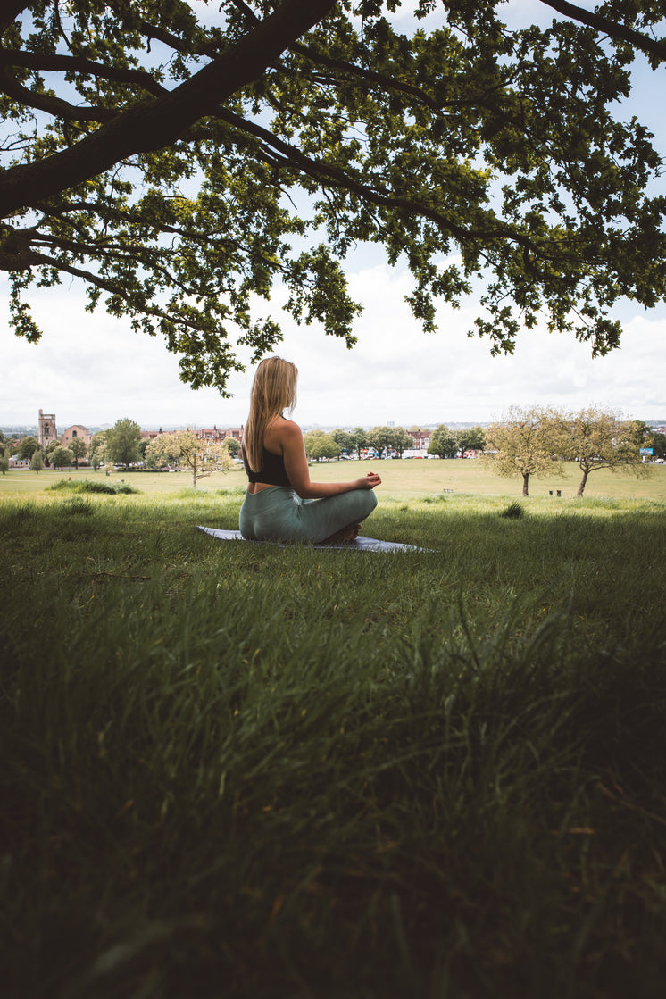 Woman Meditates Cross Legged Under A Tree