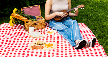 woman on picnic blanket with ukulele