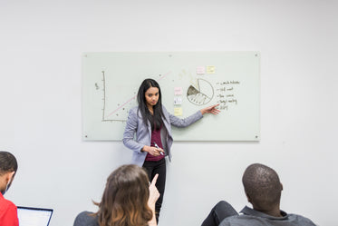 woman presenting pie chart