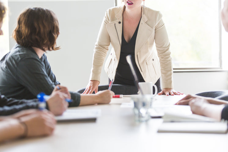 woman-runs-board-meeting.jpg?width=746&f