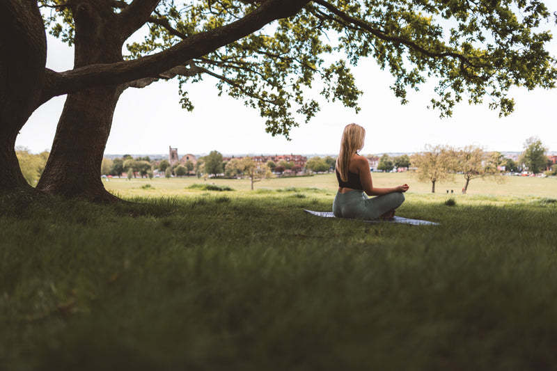 How to Incorporate Free Mindfulness Meditation into Your Busy Schedule