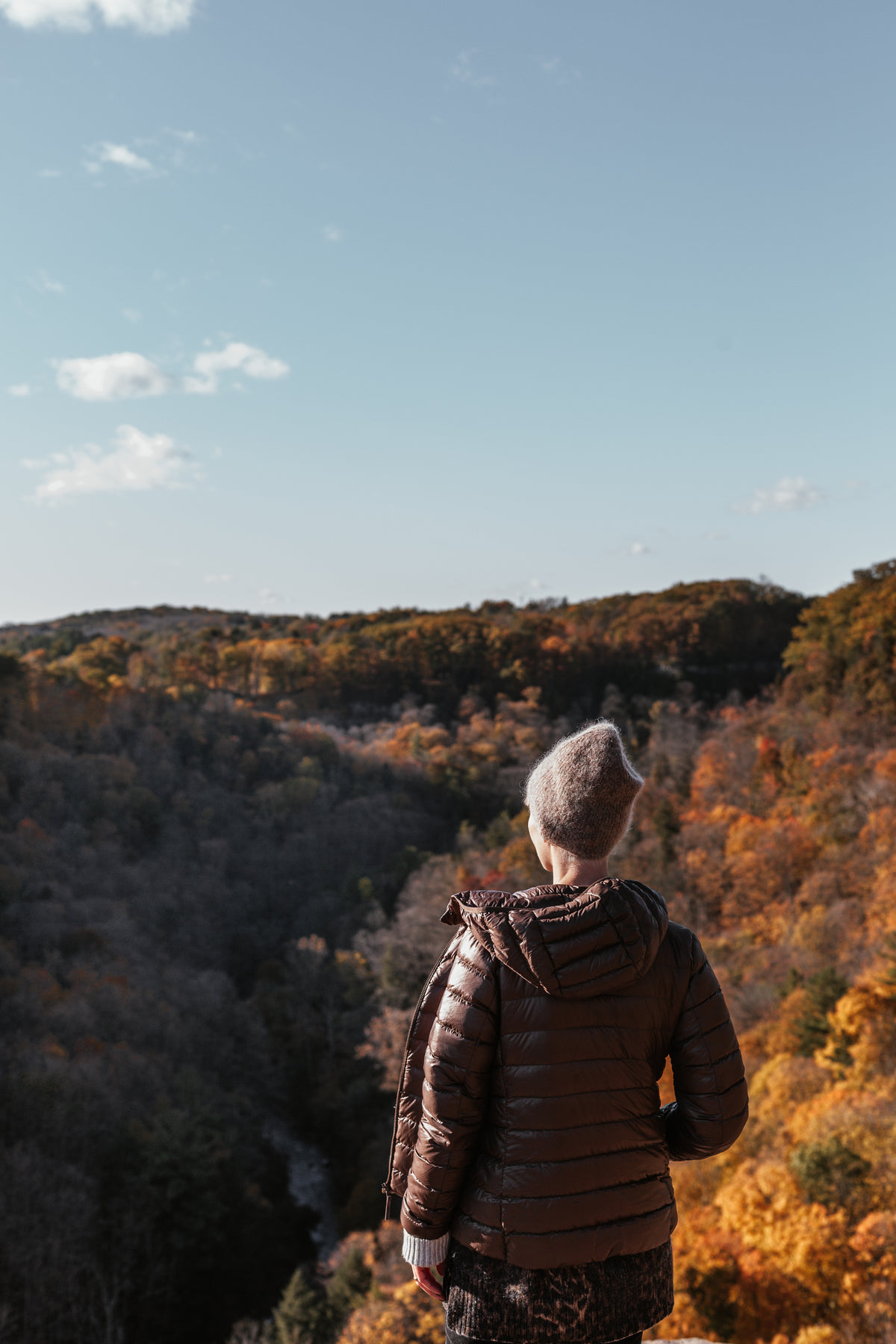 woman stands above fall colored valley