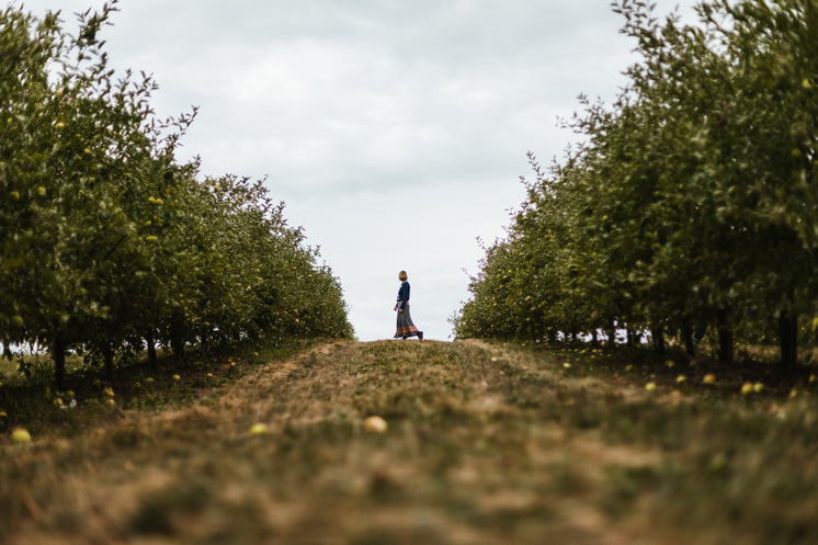 woman-stands-at-the-edge-of-an-orchard.j