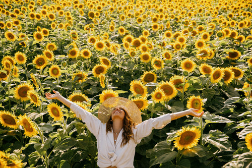 woman stands in sunflower field with hands in the air