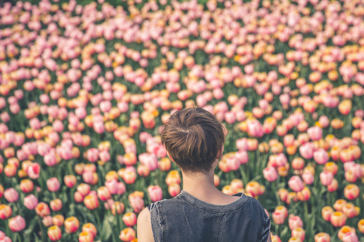 woman-viewing-tulips.jpg?width=746&forma