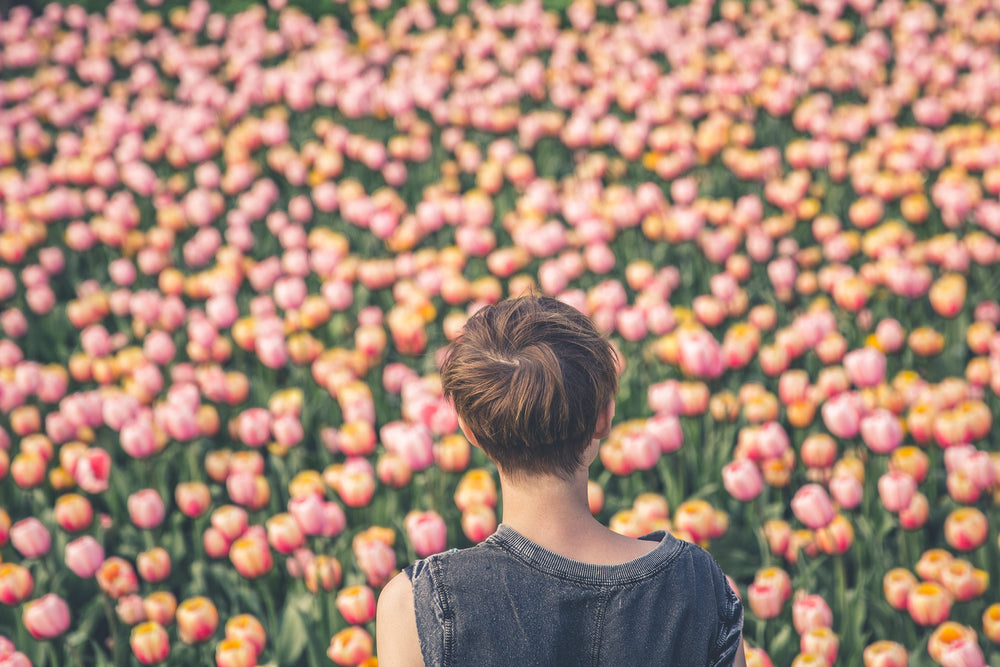 woman viewing tulips
