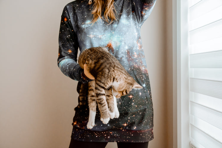 woman-wearing-hoodie-holds-cat-in-one-ha