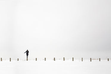 woman winter landscape