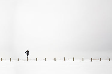 woman winter landscape