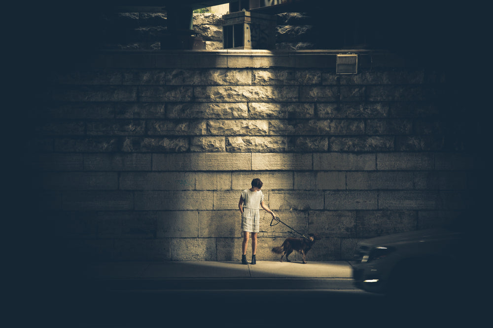 woman with dog dark alley