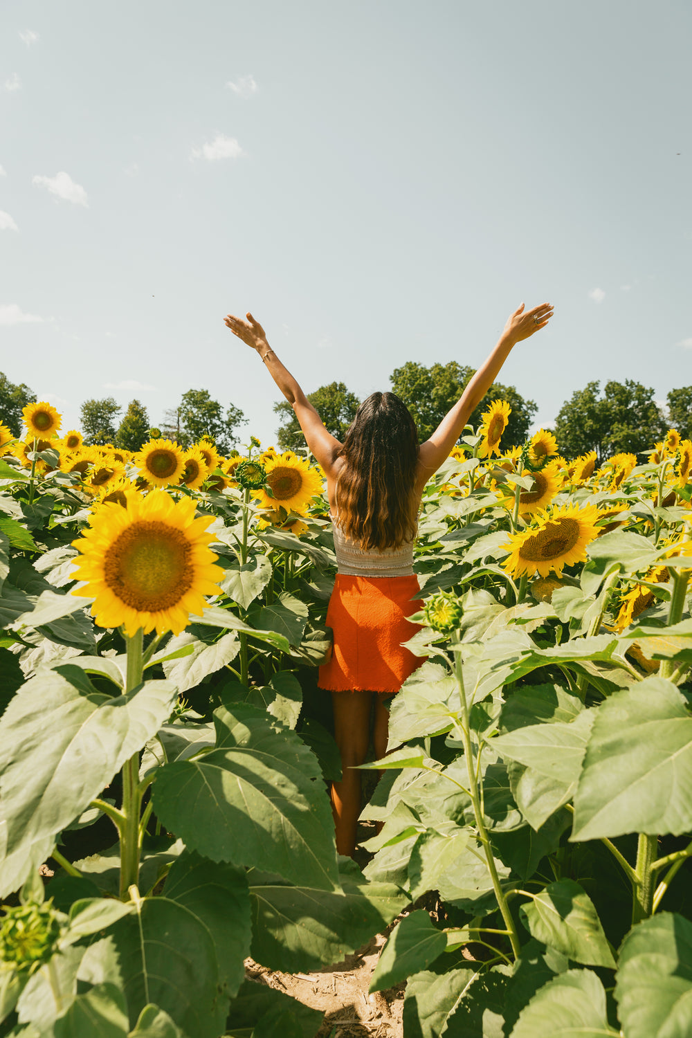 woman with her arms to the sun in a sunflower field