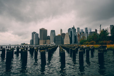 wood beams in water by city