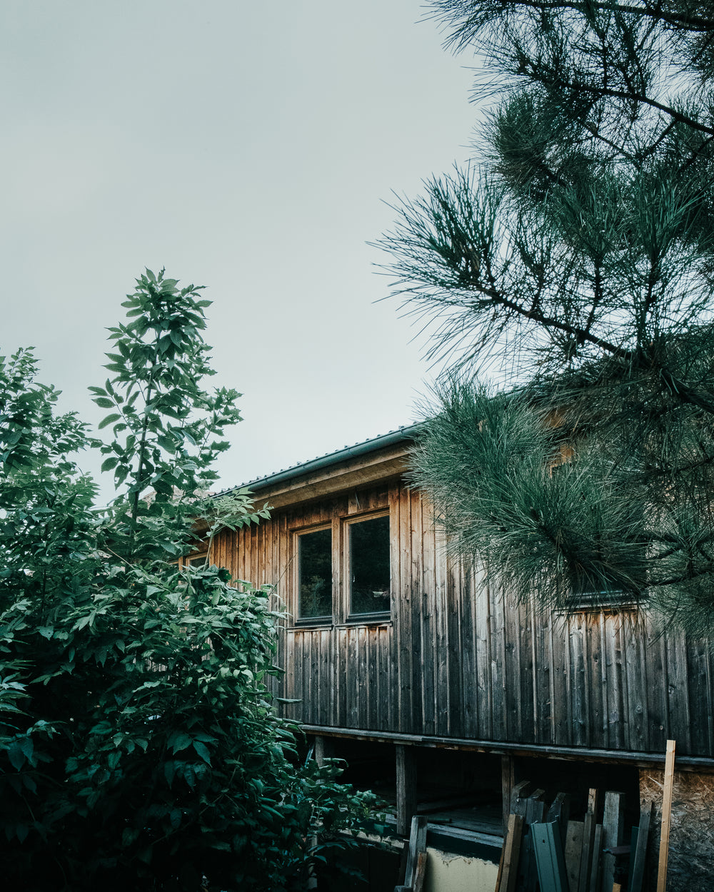 wood buildings and green trees