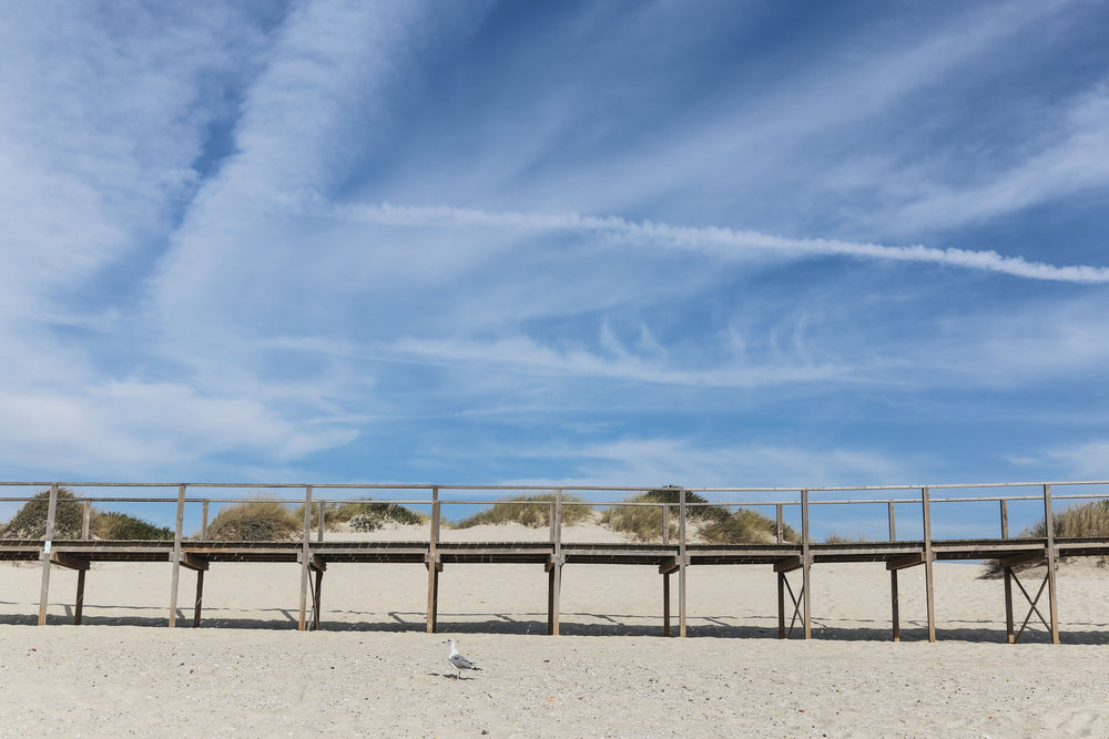 wood walkway over sand