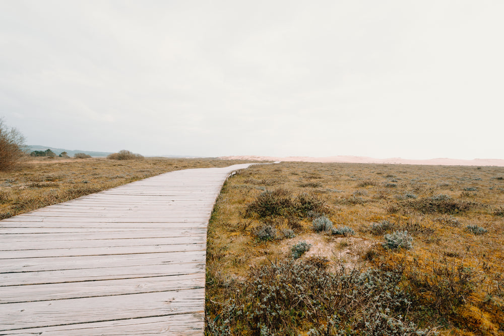 wooden boardwalk through brown grassy land