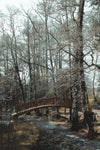 wooden bridge over a river in a cold day