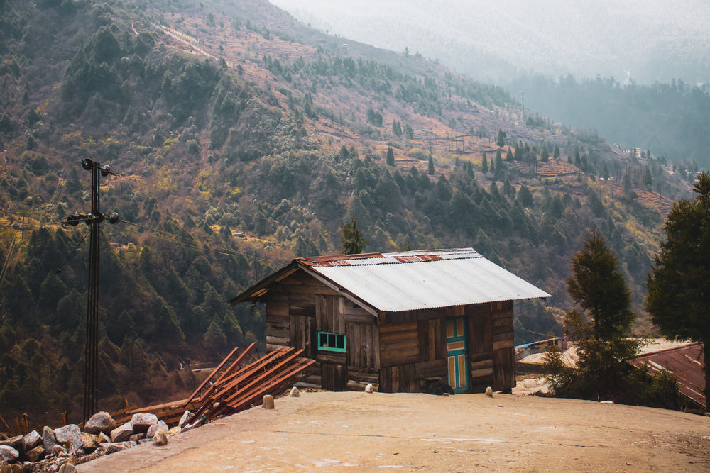 wooden cabin in the wilderness among forest trees