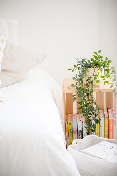 wooden crate bookshelf and a houseplant