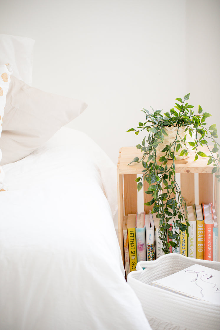 Wooden Crate Bookshelf And A Houseplant