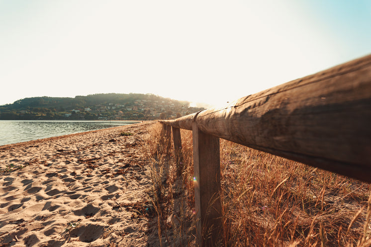 wooden-fence-on-sandy-beach.jpg?width=74