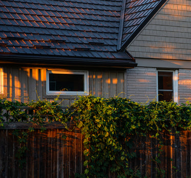 wooden fence with green vines by a building